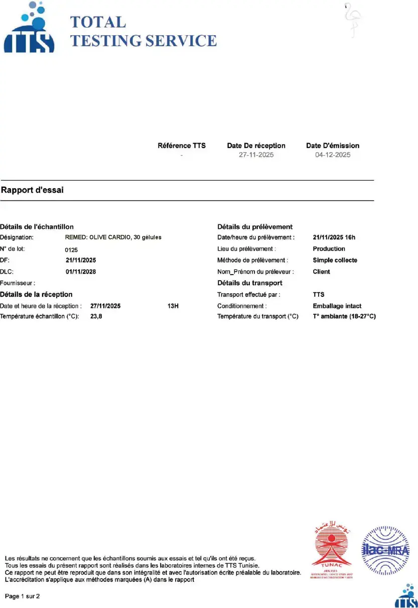 تقرير الاختبار - الصفحة 1